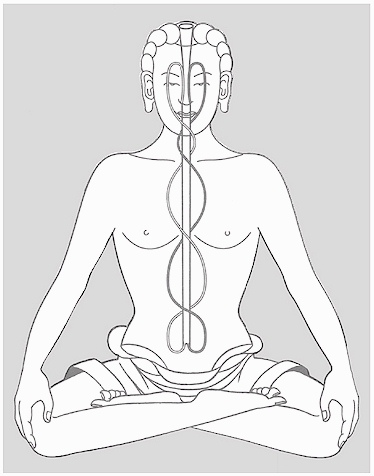 The Ultimate Guide to THE Buddhist Meditation Posture