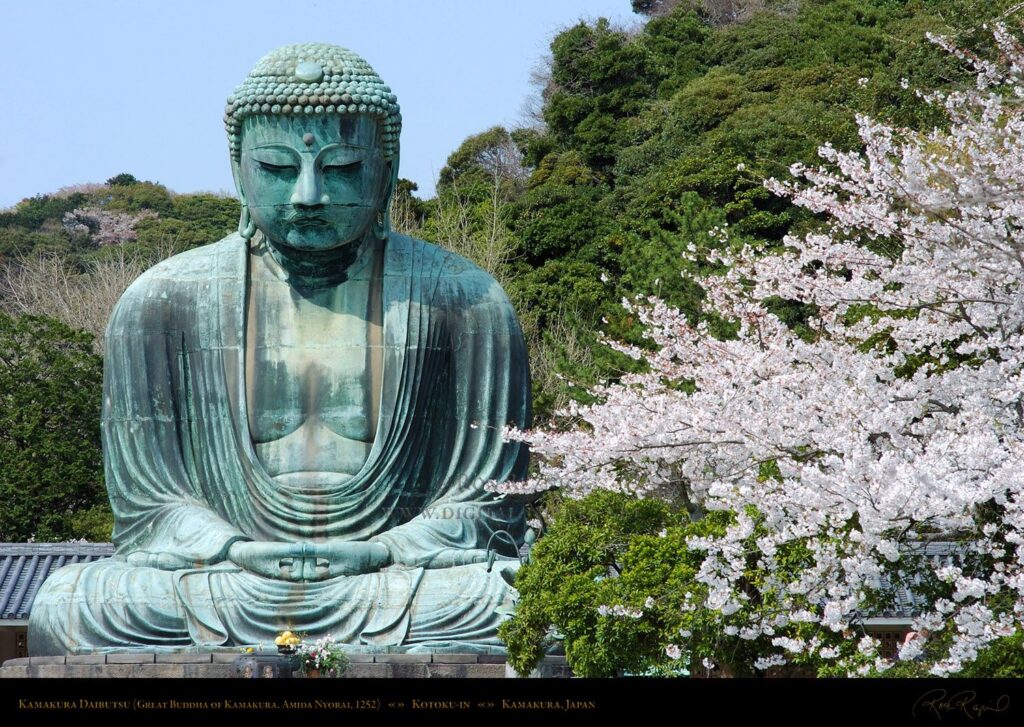 Amitabha Buddha Pure Land Buddhism Giant Buddha BuddhaLand Kamakura